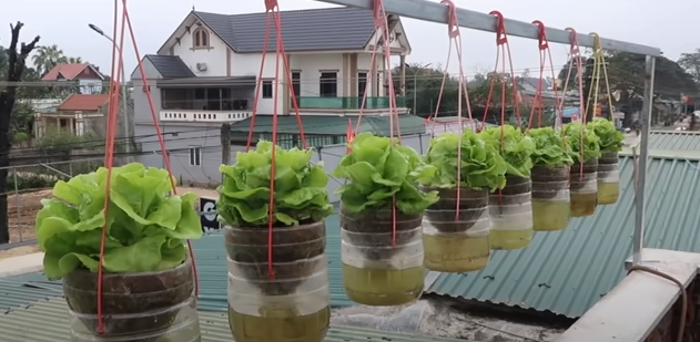 A Arte da Horta Vertical: Um Jardim Suspenso em Casa - inspiração 2