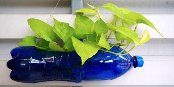 A Arte da Horta Vertical: Um Jardim Suspenso em Casa - inspiração 3