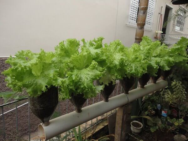 O Segredo do Pavio: Mantendo a Umidade Perfeita - inspiração 2