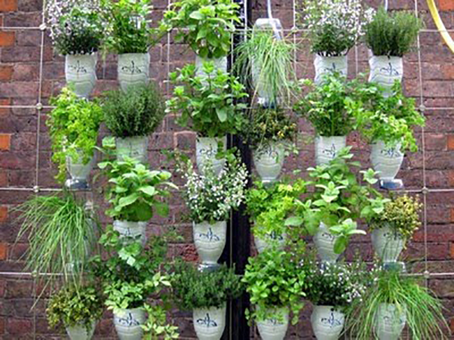 O Plantio Delicado: Sementes e Profundidade Certa - inspiração 1