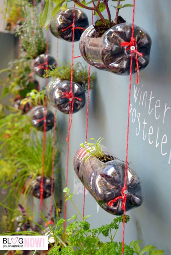 A Primeira Rega: Despertando a Vida - inspiração 2