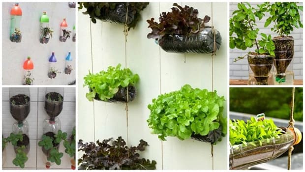 O Sol é Nosso Amigo: Luz Ideal para Crescer Feliz - inspiração 3