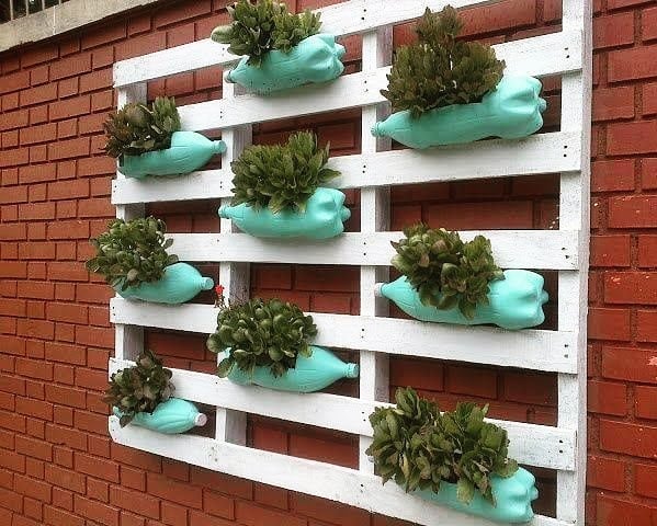 Paciência é Virtude: Germinação e a Hora da Colheita - inspiração 1