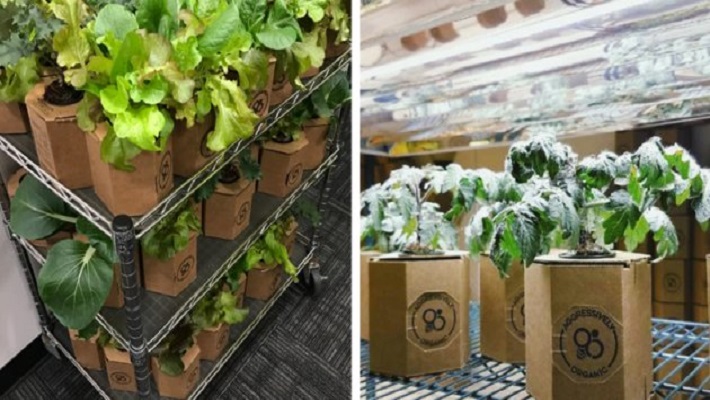 Rega Sem Segredos: Hidratação na Medida Certa - inspiração 1