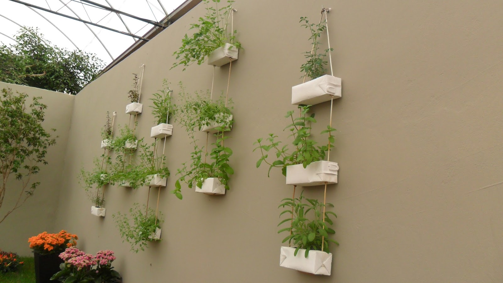 Rega Sem Segredos: Hidratação na Medida Certa - inspiração 3