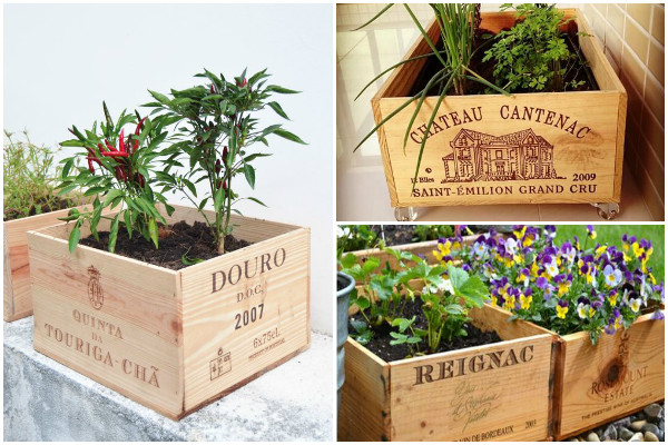 Aclimação Gradual: Proteja as Mudas Jovens - inspiração 3