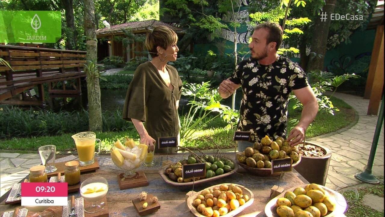 Atenção ao Clima: Adapte-se à Sua Região - inspiração 1