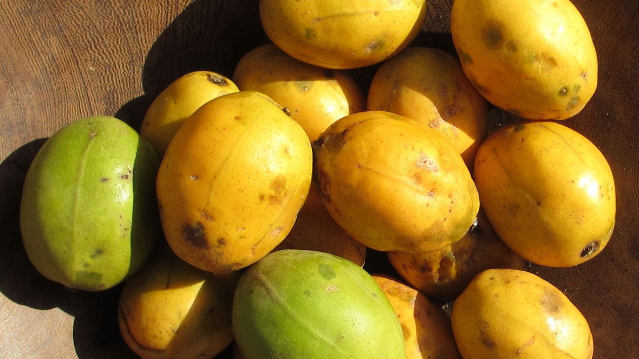 Atenção ao Clima: Adapte-se à Sua Região - inspiração 2