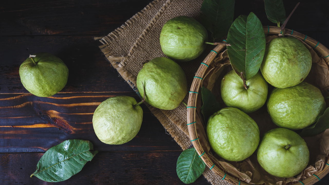 Montando o Ninho: A Camada de Drenagem que Salva sua Planta - inspiração 1