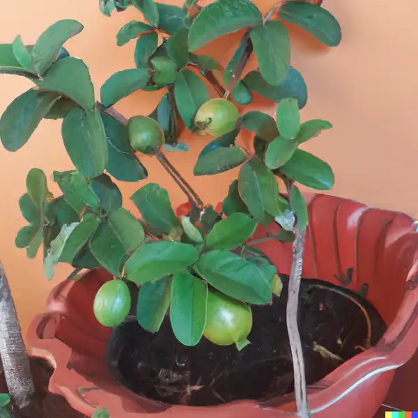 O Momento Mágico: Plantando a Muda com Carinho - inspiração 1