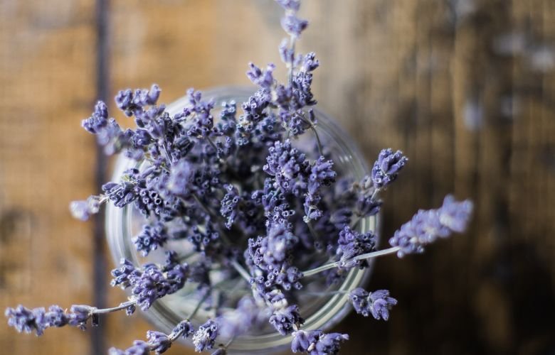 Prepare o Solo Perfeito: Drenagem é a Chave - inspiração 1