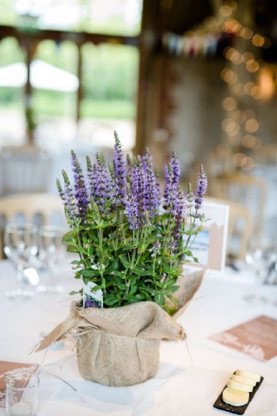 Adubação Inteligente: Nutrição Sem Exageros - inspiração 1