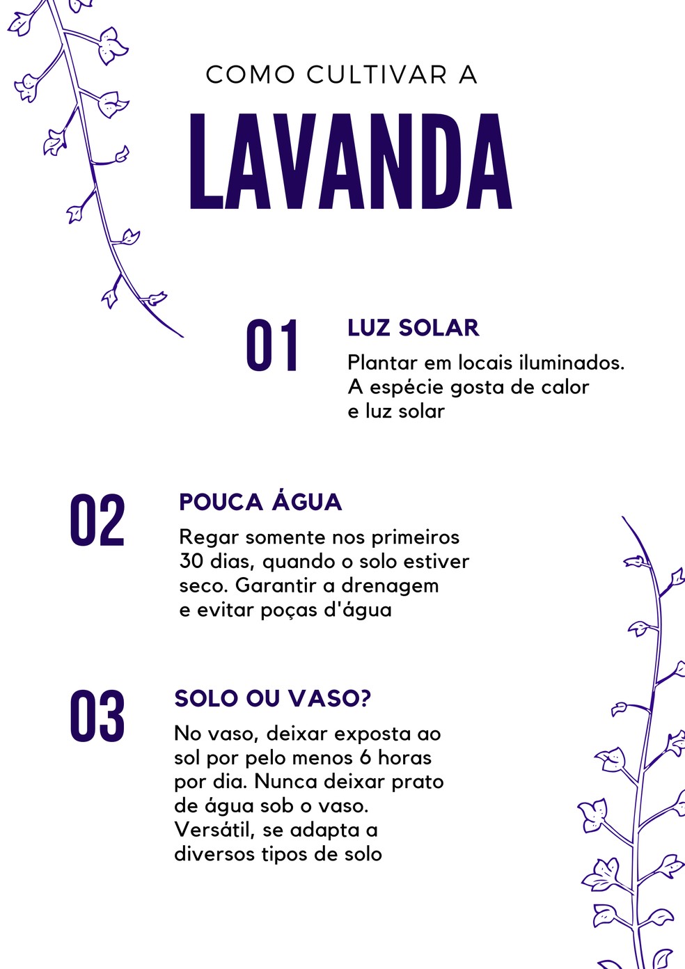 Cultivo em Vaso: Lavanda no Seu Apartamento - inspiração 1
