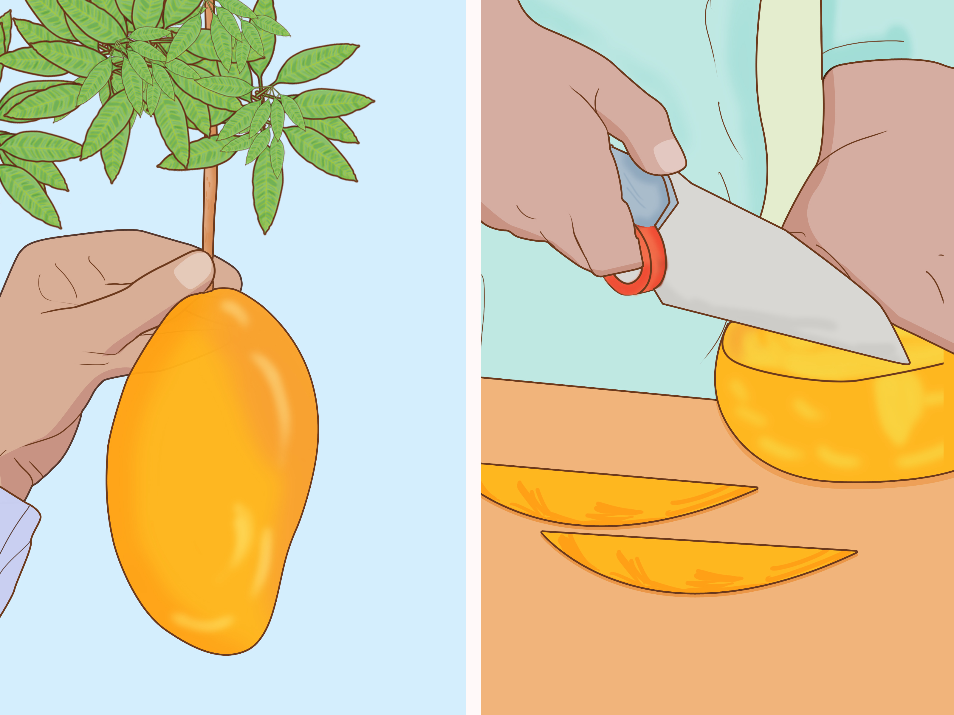 O Segredo da Cova Perfeita: Plantando com Carinho - inspiração 2