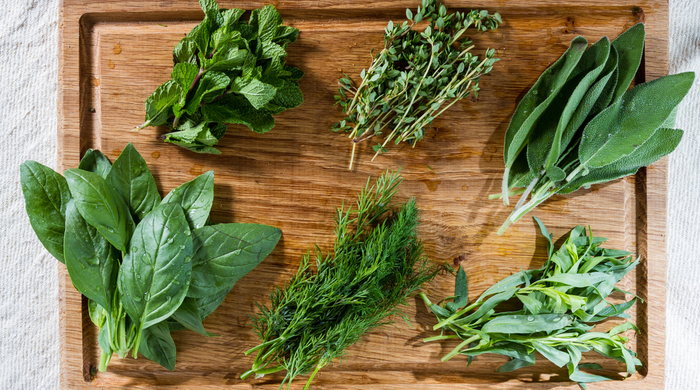 O Poder da Drenagem Eficaz: Um Passo Essencial - inspiração 1