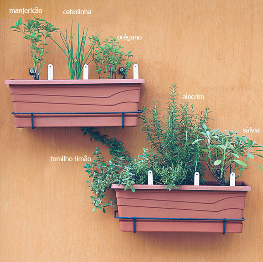 Posicionamento Estratégico para Banho de Sol - inspiração 3