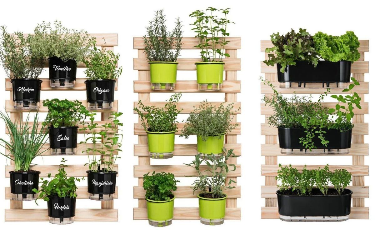 A Arte de Regar sem Exageros nem Faltas - inspiração 1