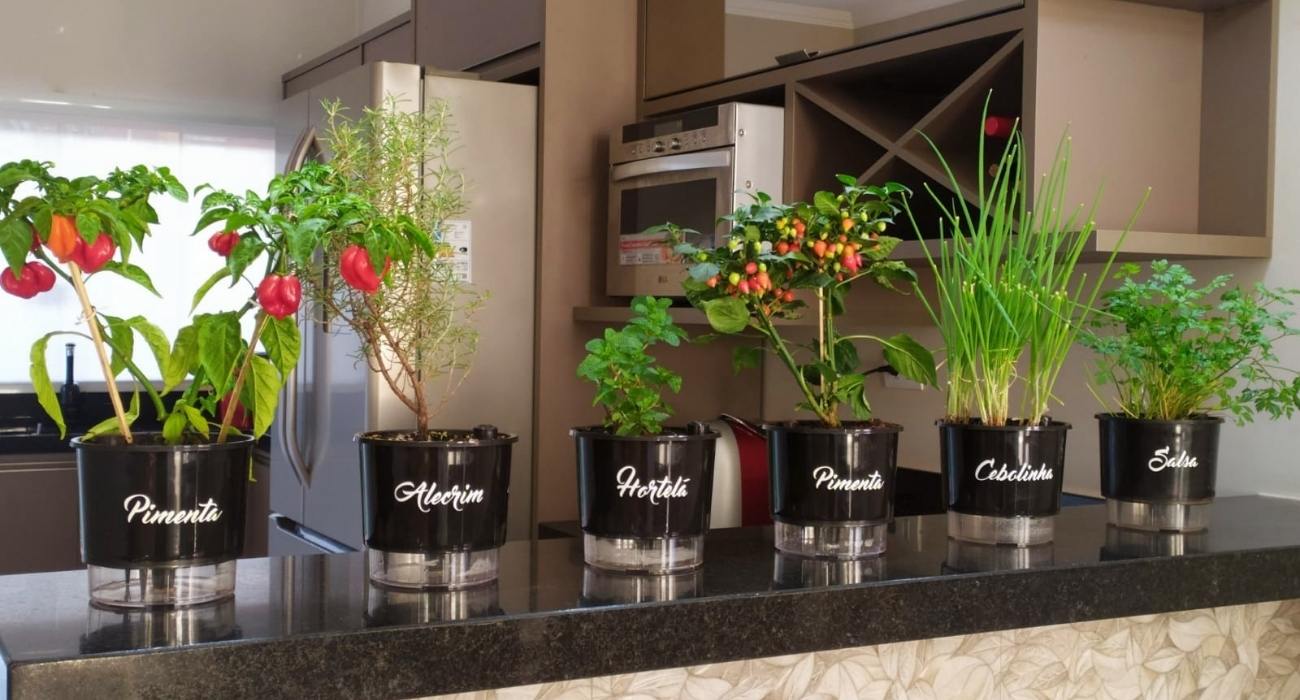 Poda Estratégica para Plantas Cheias e Saudáveis - inspiração 3