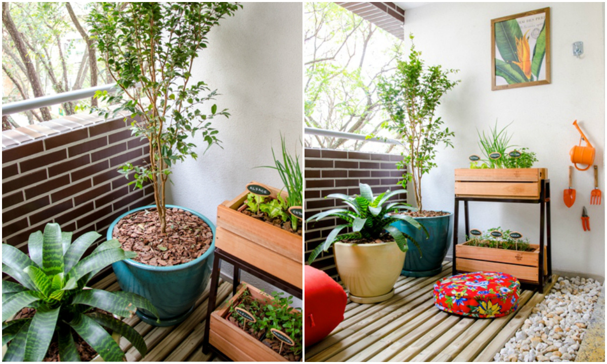 Multiplicando Suas Ervas: Mudas Simples em Casa - inspiração 2