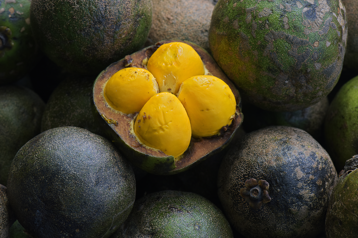 Cova Generosa: O Espaço que a Futura Árvore Precisa - inspiração 1