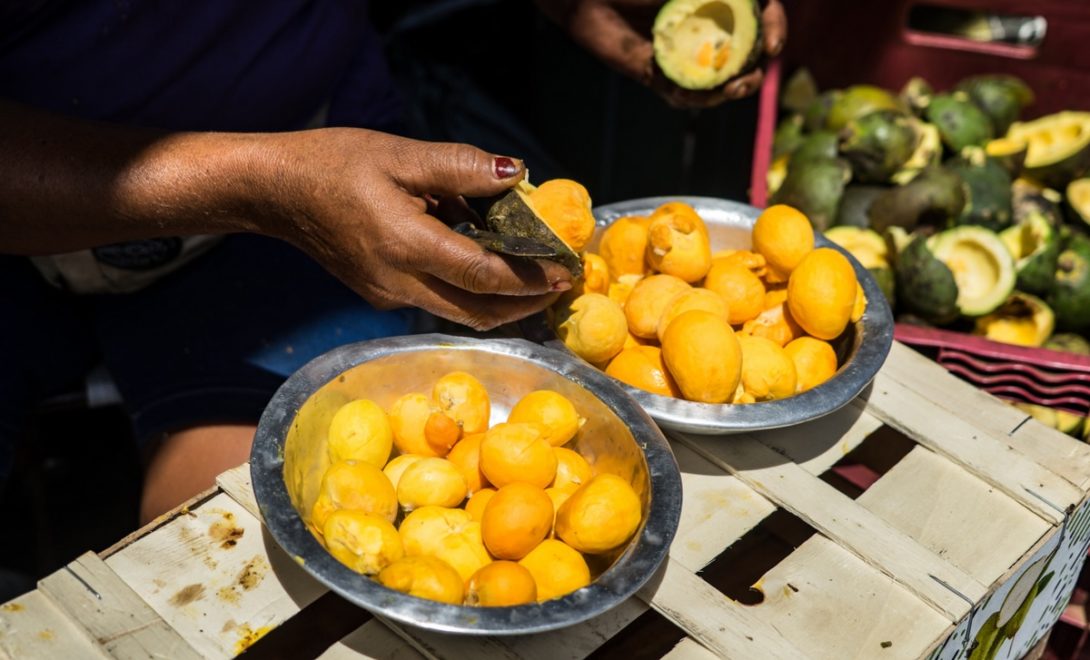 Cova Generosa: O Espaço que a Futura Árvore Precisa - inspiração 3