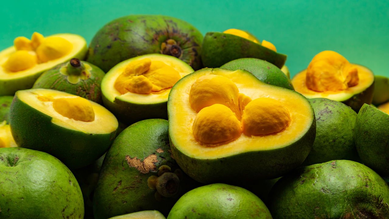 Nutrindo a Vida: Adubação que Fortalece o Pequizeiro - inspiração 1