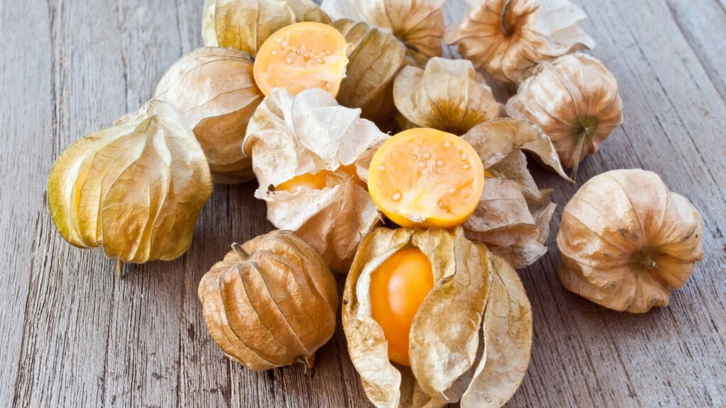 Prepare o Terreno: O Solo Ideal para uma Physalis Feliz - inspiração 3