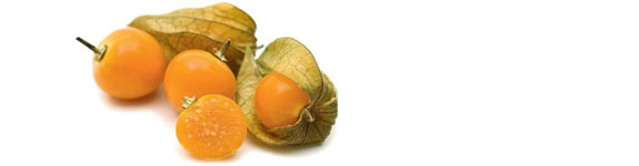 Iluminação Perfeita: Encontre o Ponto Doce de Sol e Sombra - inspiração 3