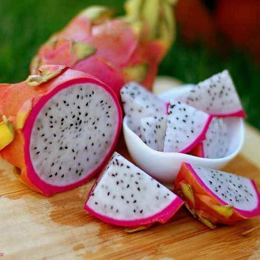 O Toque Mágico da Cicatrização da Estaca - inspiração 3