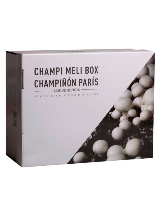 Erros Comuns no Cultivo: Aprenda com Eles para Ter Sucesso Garantido - inspiração 3