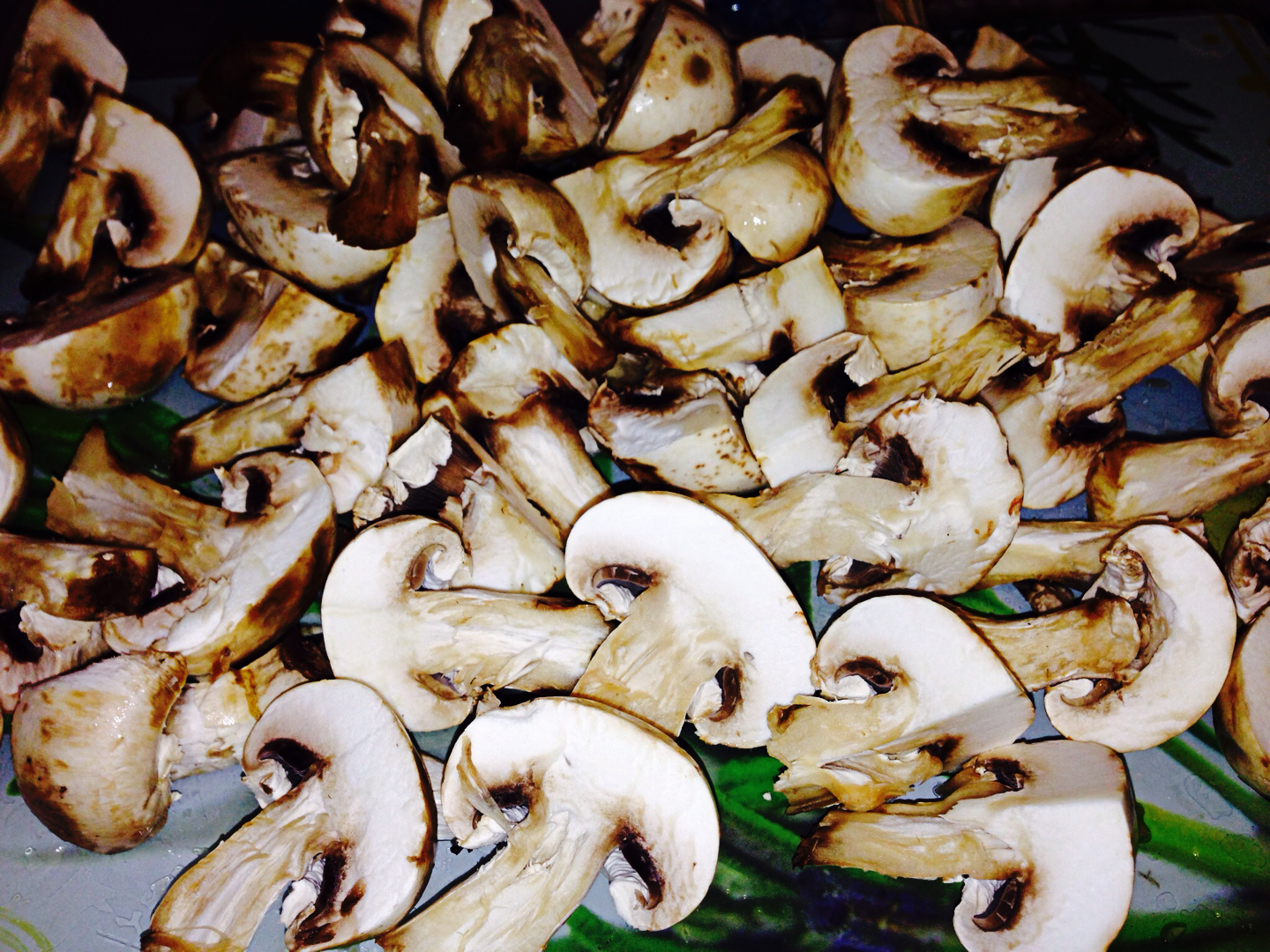 Kit de Cultivo para Iniciantes: Comece Sua Aventura sem Complicações - inspiração 1