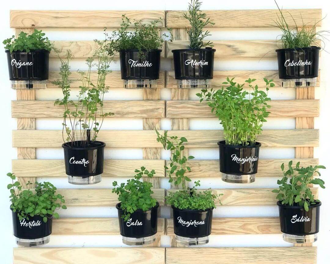 Preparando a Terra: O Segredo de um Solo Nutritivo e Leve - inspiração 1