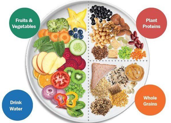 Comece aos Poucos: A Transição Gentil é a Chave - inspiração 1