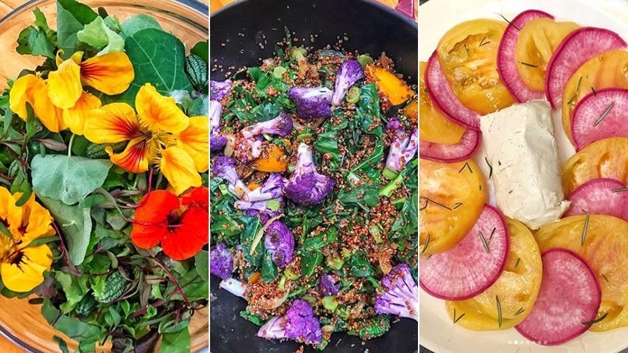 Dieta Plant-Based e Veganismo: Entenda a Diferença - inspiração 1