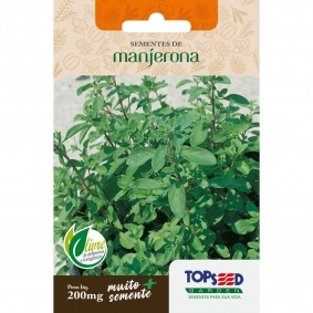 Manjericão no Pesto: O Segredo do Molho Italiano Autêntico - inspiração 2