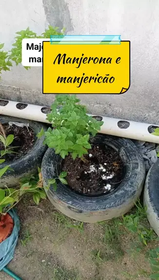 Manjerona Secreta: Para Carnes Brancas Suculentas - inspiração 2