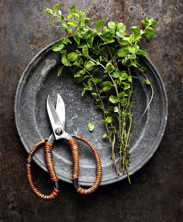 Descubra como combinar orégano com outros temperos para criar sinfonias de sabor - inspiração 2