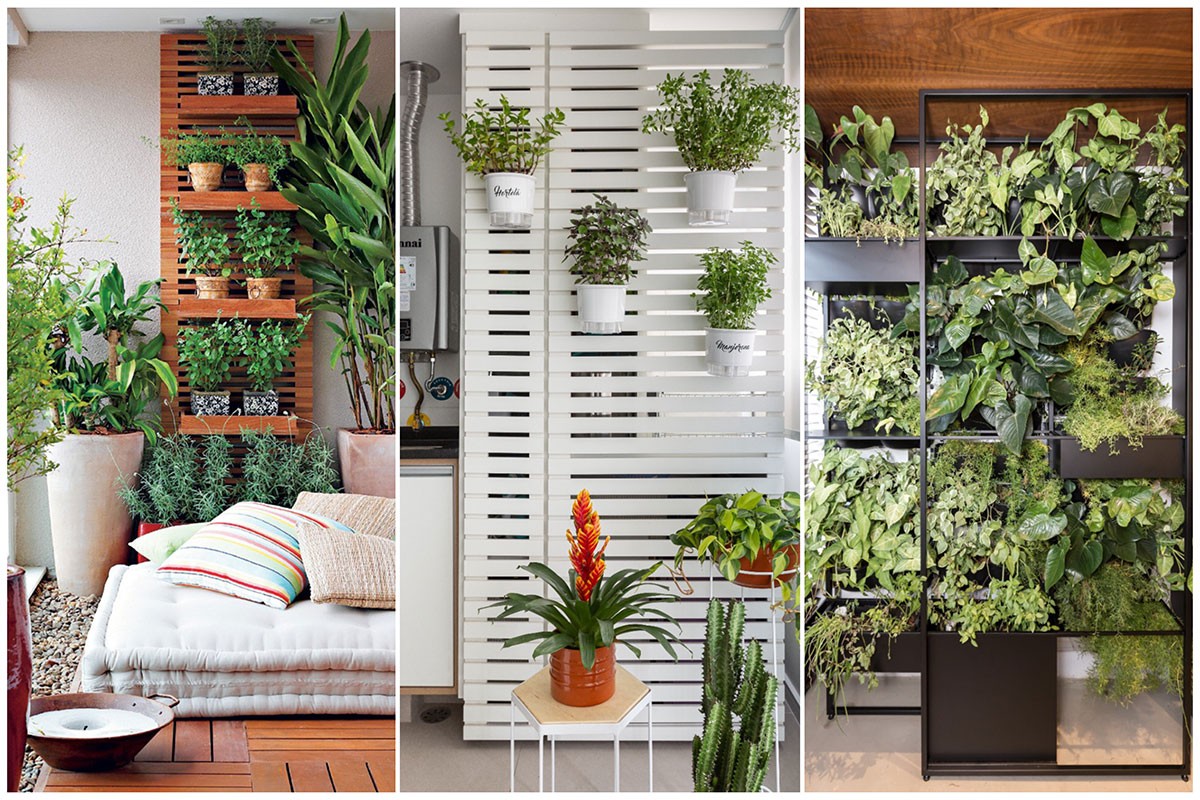 Fotografe a Evolução da Sua Horta (e compare!) - inspiração 1