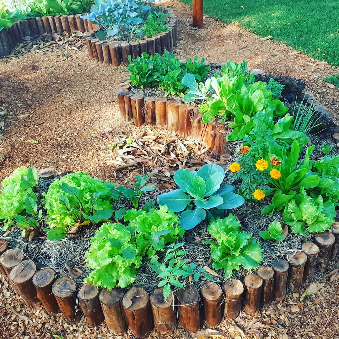 Registre Cada Gota: Rega Consciente e Eficaz - inspiração 3