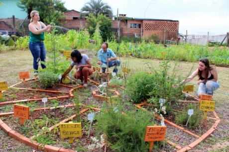 Pragas e Doenças? Seja Detetive e Documente! - inspiração 3