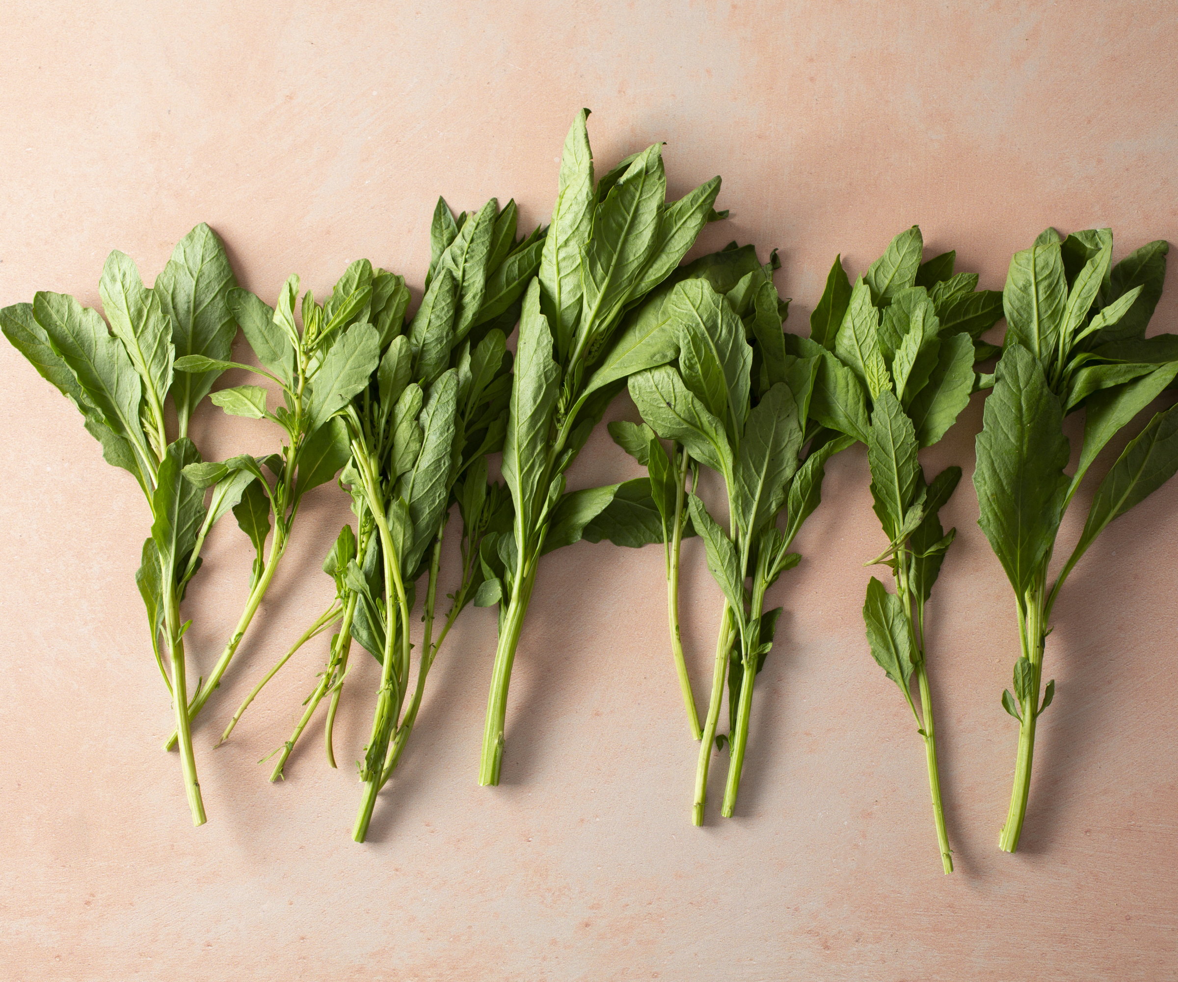 Epazote na Culinária Mexicana: Um Toque Autêntico Indispensável - inspiração 3