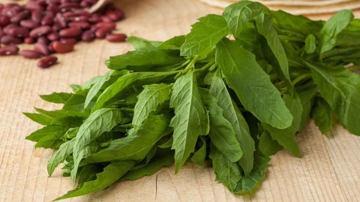 Além do Feijão: Versatilidade do Epazote em Diversos Pratos - inspiração 1