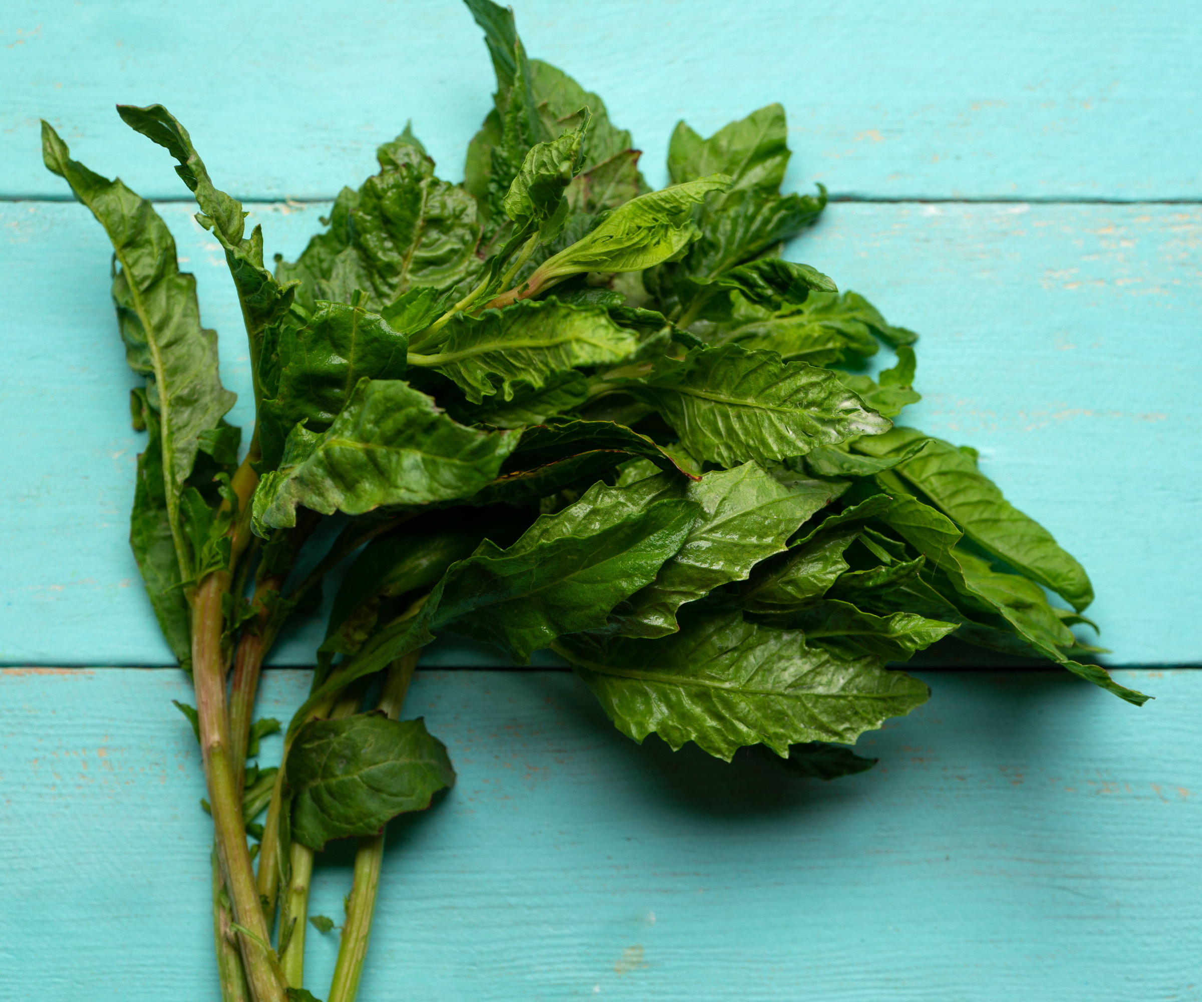 Além do Feijão: Versatilidade do Epazote em Diversos Pratos - inspiração 3