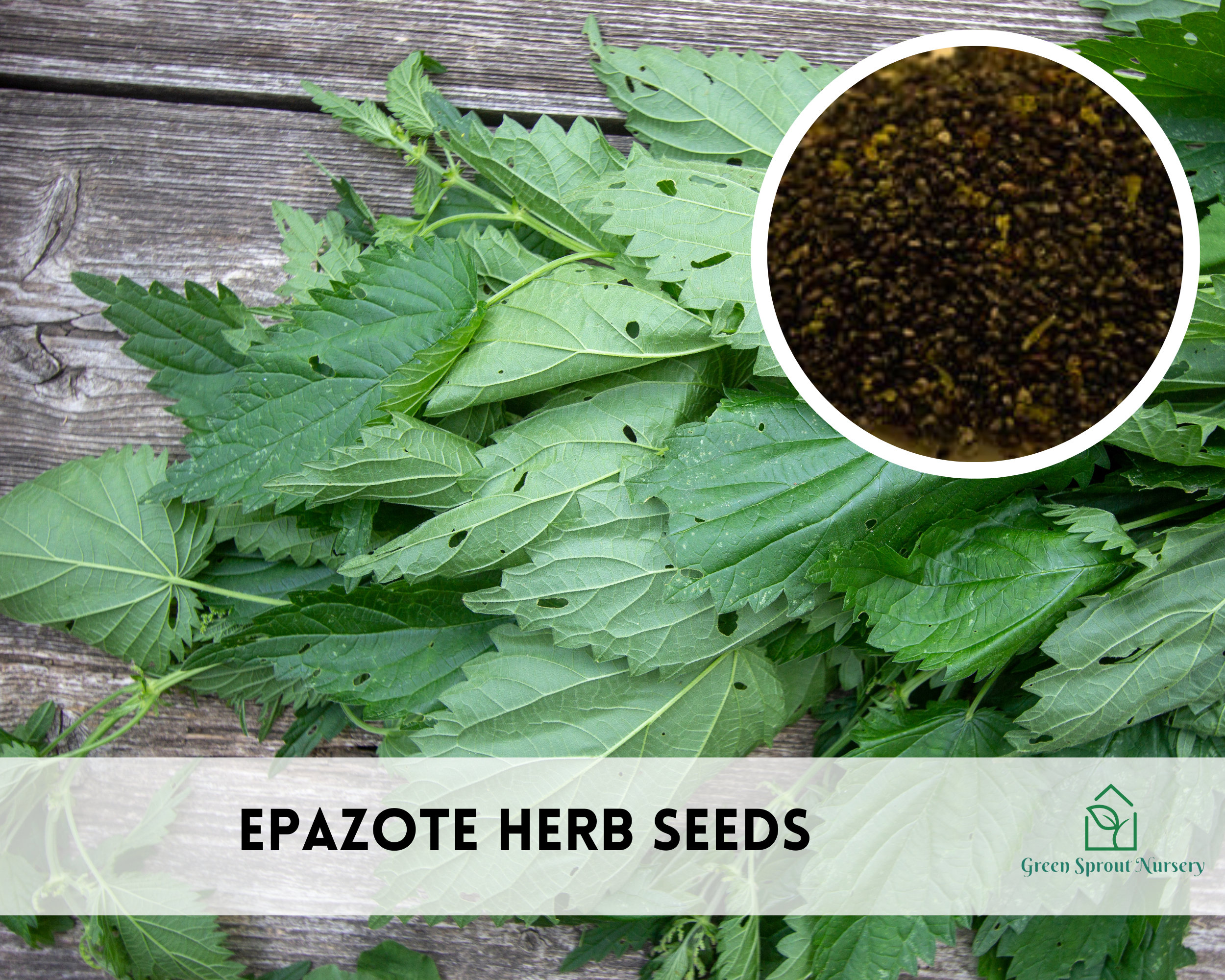 Ação Anti-inflamatória e Analgésica: Alívio Natural para Dores - inspiração 1