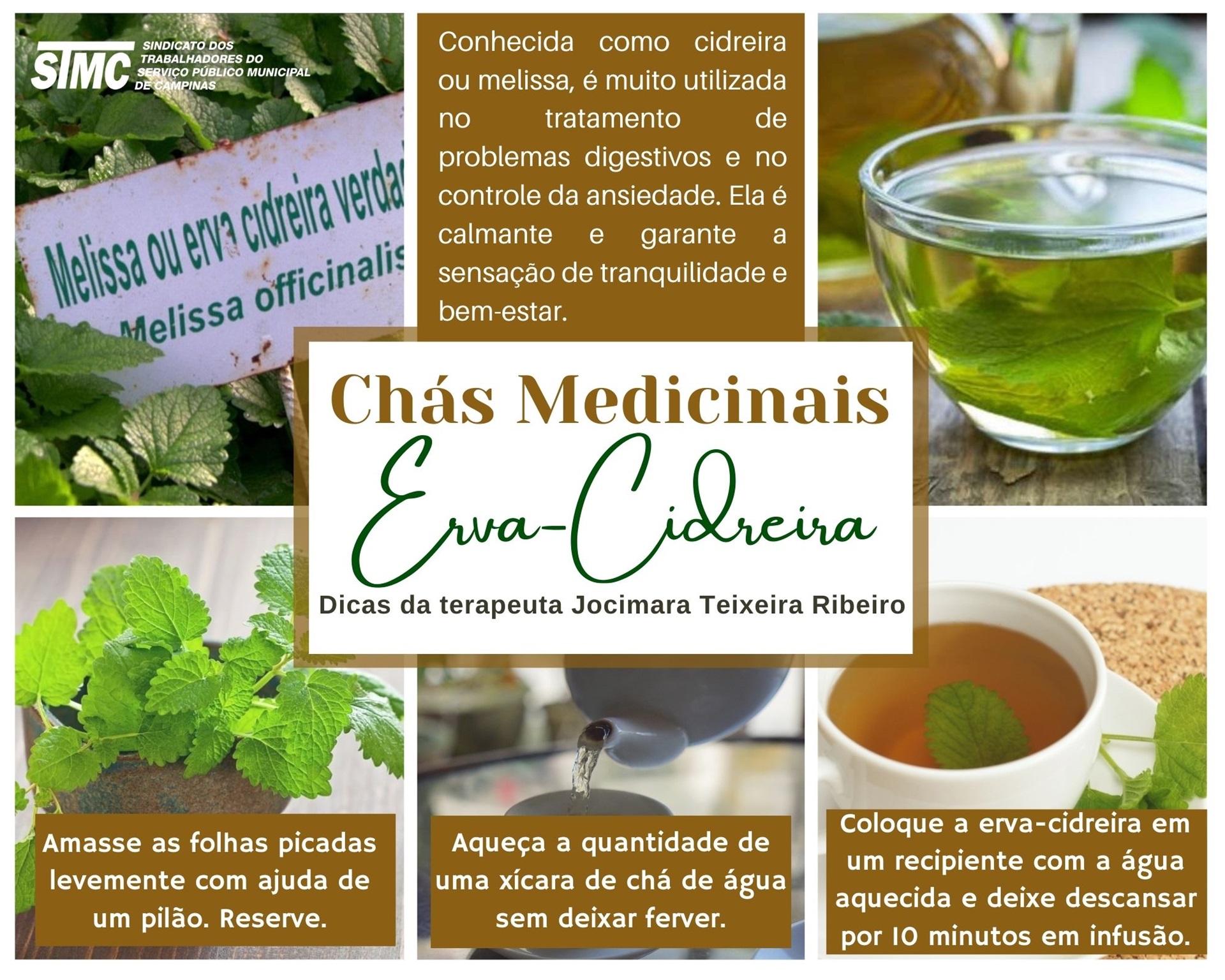 Gengibre, o Guardião das Vias Respiratórias: Receitas Revigorantes - inspiração 1