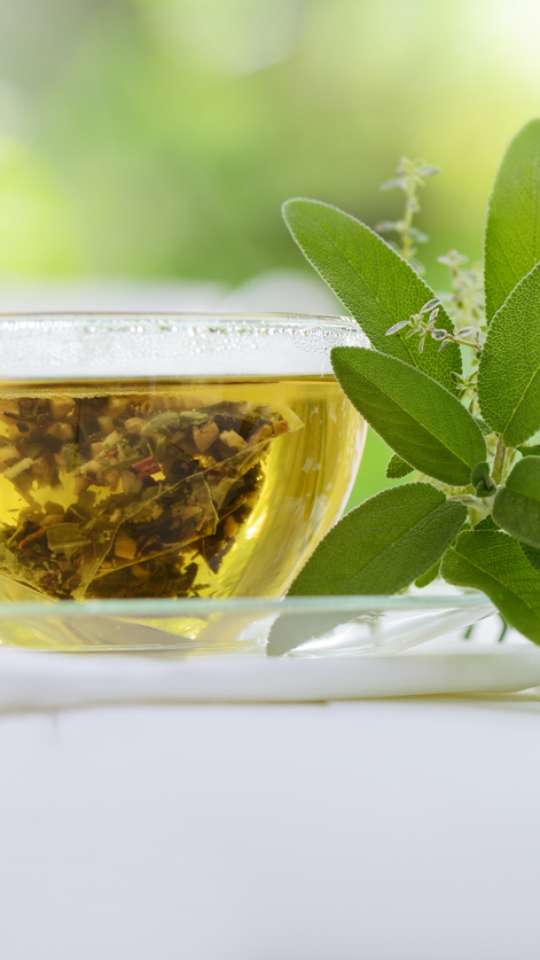 Alho, o Antibiótico Natural: Estratégias para um Consumo Inteligente - inspiração 2