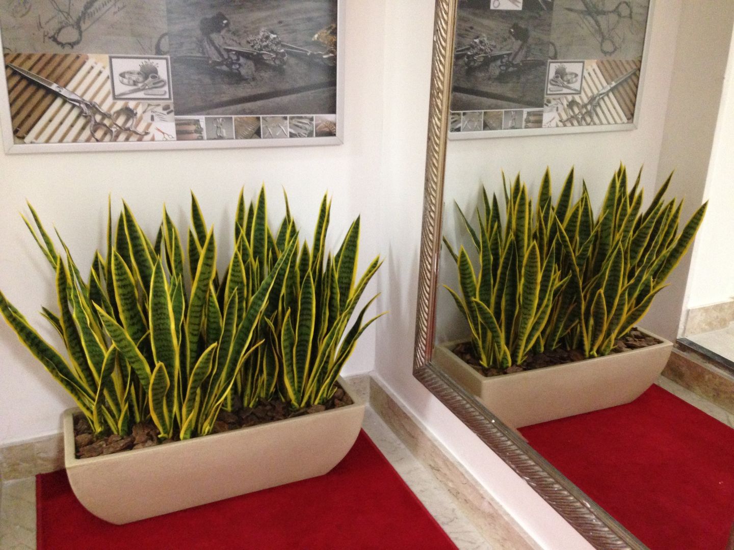 Otimizando o Sono: Dica para o Quarto e Bem-Estar Noturno - inspiração 1