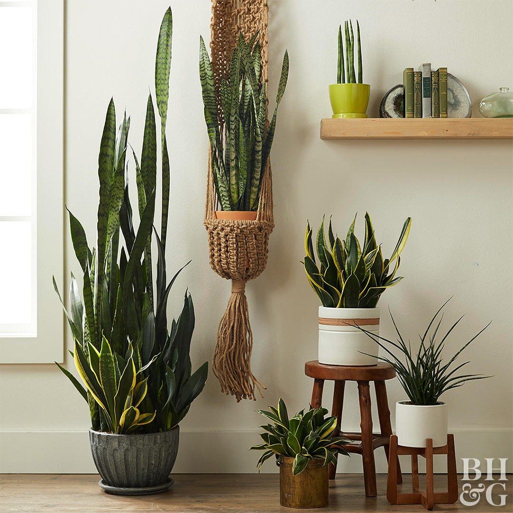 Otimizando o Sono: Dica para o Quarto e Bem-Estar Noturno - inspiração 2