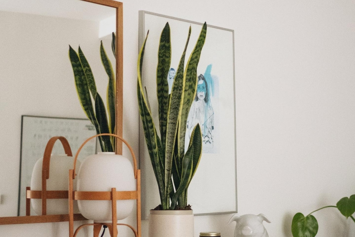 Segurança em Primeiro Lugar: Mantenha Longe de Crianças e Animais - inspiração 1