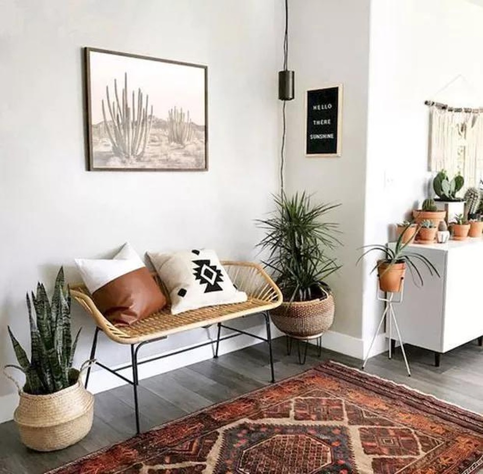 Multiplicação Sem Mistério: Faça Suas Próprias Mudas com Facilidade - inspiração 2